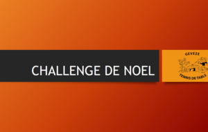 CHALLENGE DE NOEL 2017